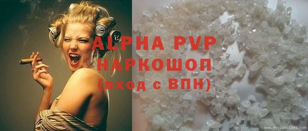 шишки Саяногорск