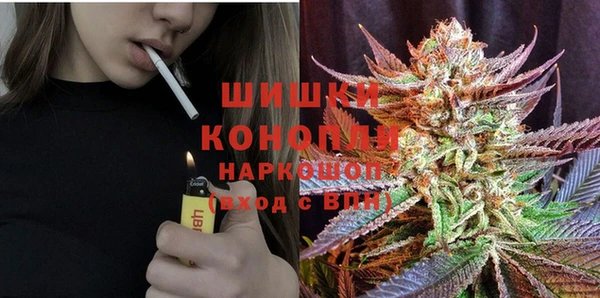 хмурый Алексеевка