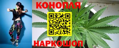 сатива Заволжье