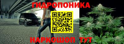 сатива Заволжье