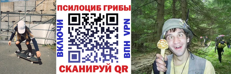 Псилоцибиновые грибы GOLDEN TEACHER  закладки  Нурлат 