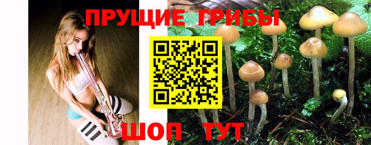 Галлюциногенные грибы GOLDEN TEACHER  Вход с VPN  Нурлат  Галлюциногенные грибы ЛСД 