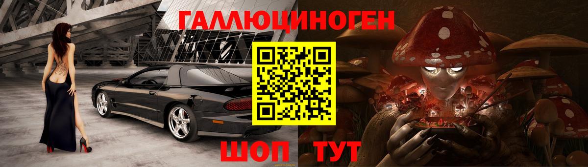 Галлюциногенные грибы Psilocybine cubensis Нурлат